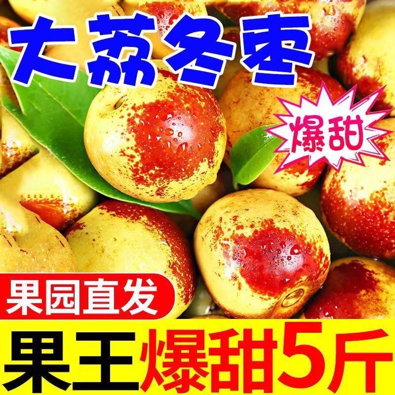 [自家果园]陕西大荔冬枣脆甜好吃新鲜水果冬枣大枣鲜枣子包邮