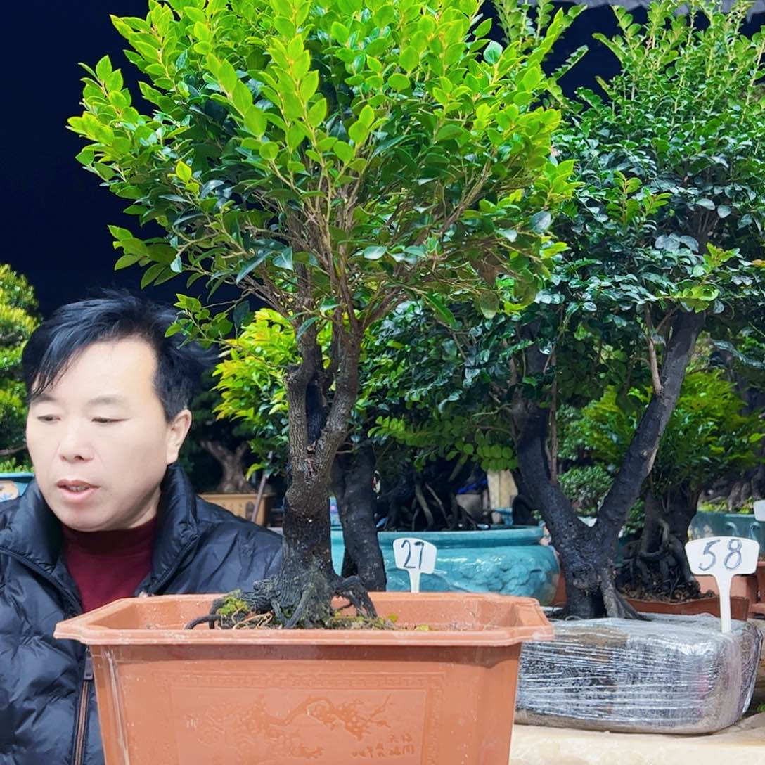 以实际为准老**卉12345678