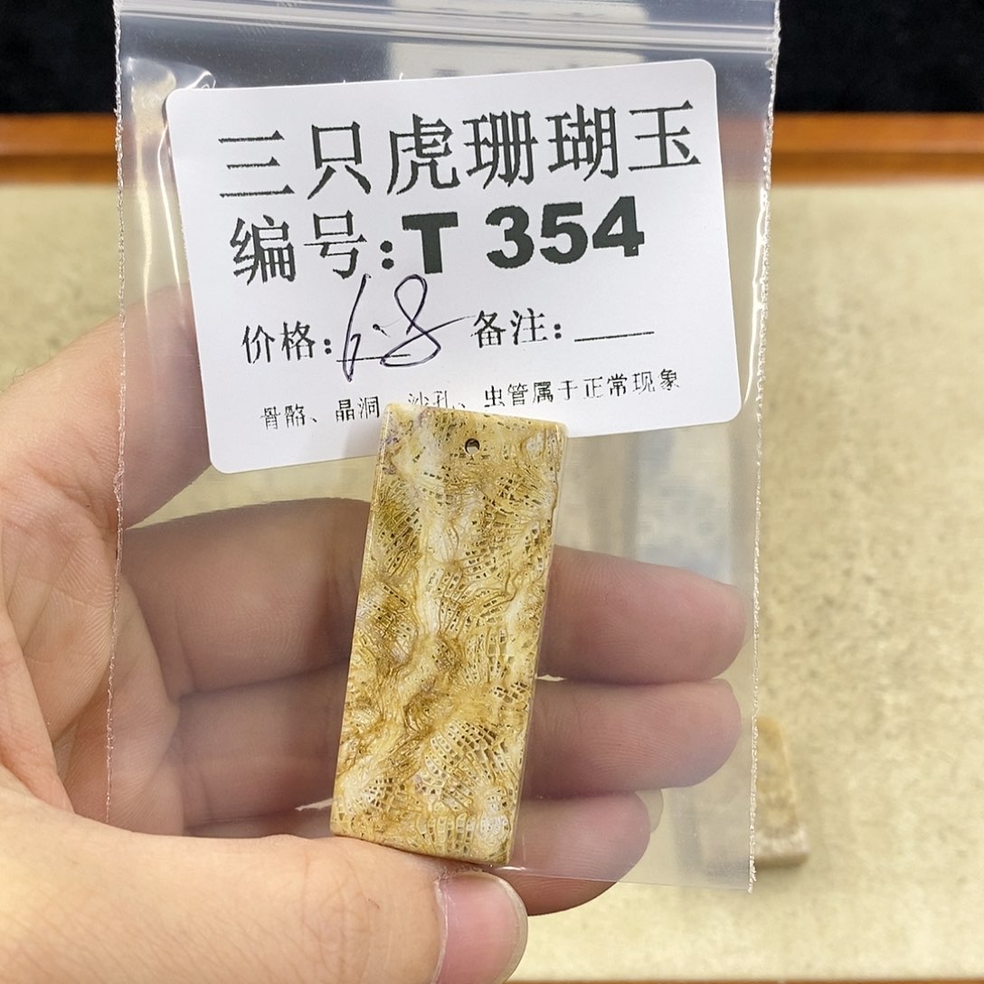 硅化珊瑚（珊瑚玉）1未镶嵌我**空