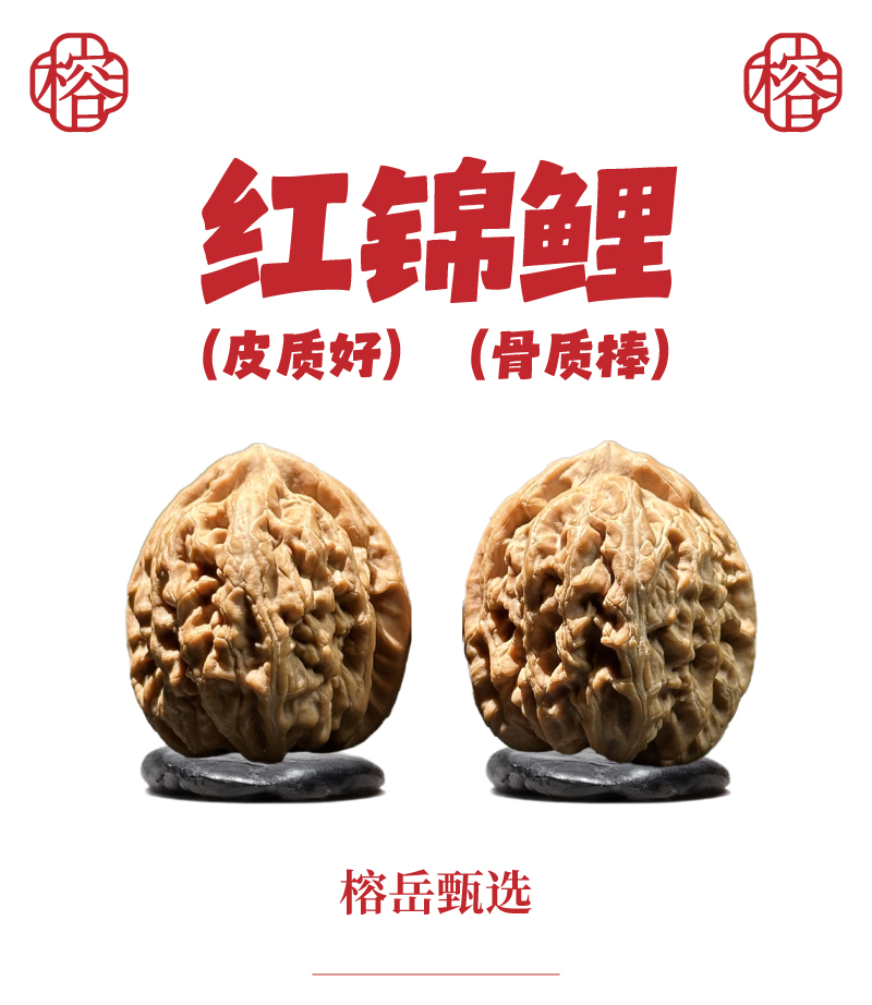 【榕岳甄选】25年新果 蓟县一代红锦鲤文玩核桃（深清）