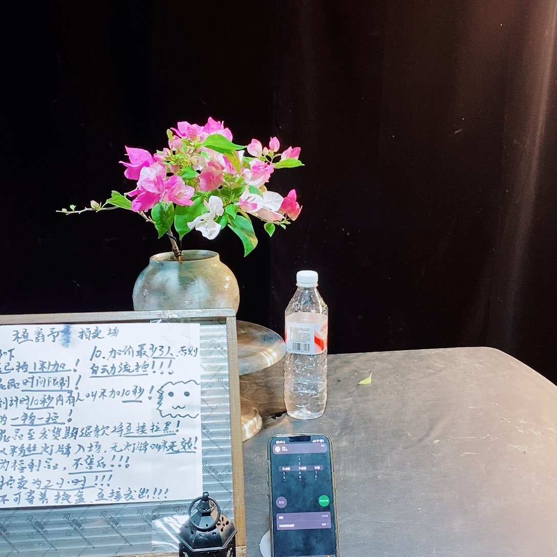 完全开放斑叶章红英三角梅