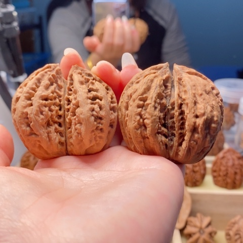 桃核把件东北秋子20