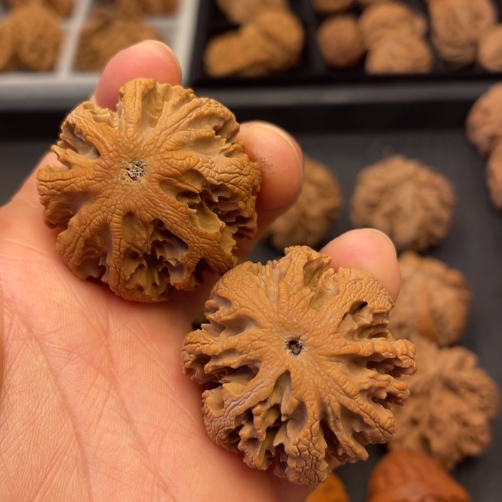 文玩核桃吊坠我也没钱给他们