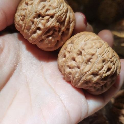 猴头核桃吊坠42元宝