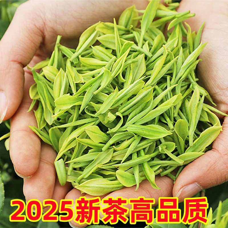 2025新茶叶春茶日照散装正宗明前山东日照绿茶板栗香豆香炒青特级