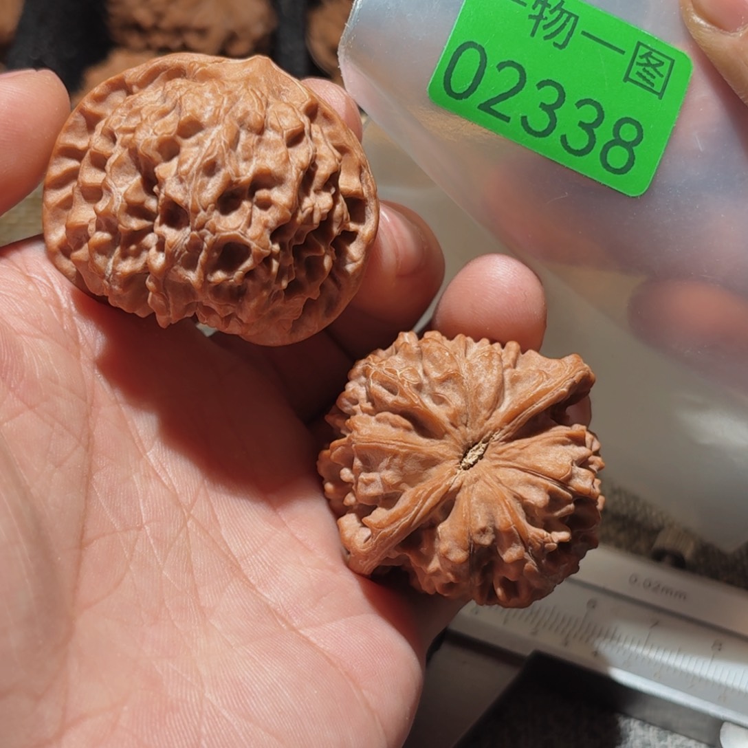 把件文玩核桃红珊瑚