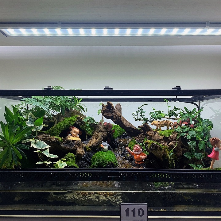 无花朵50大流水缸