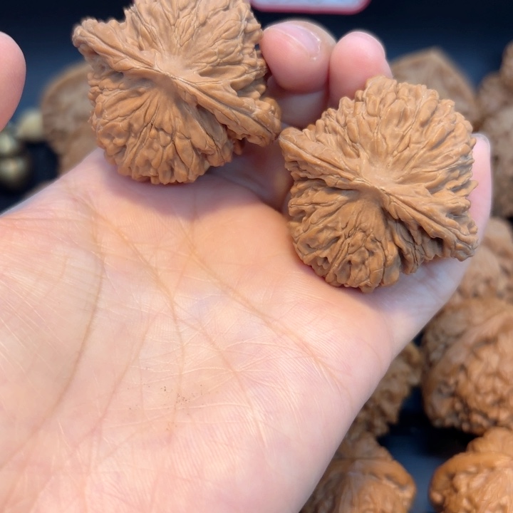 45四座楼全品无修全品无修全品