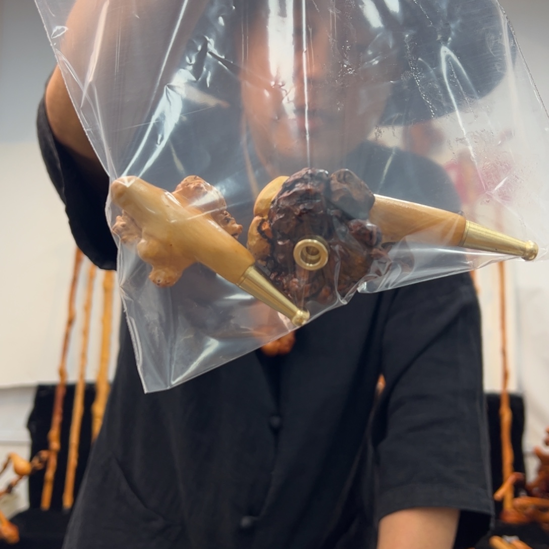 黑果木其他黑果木262