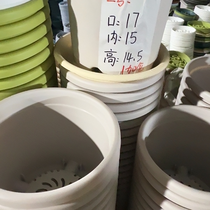 四季2号灰白带托30套特价