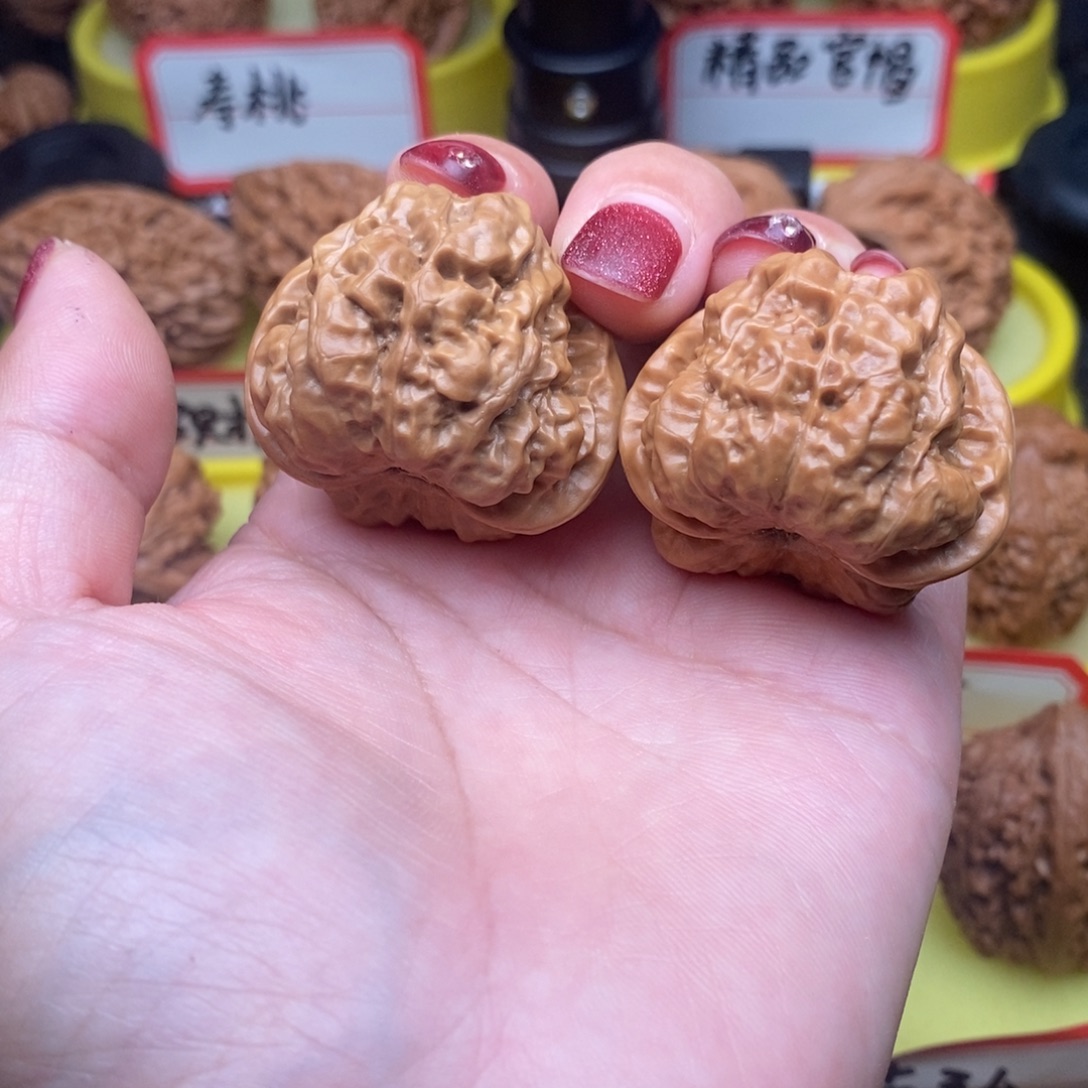 *****菩提籽类蛤蟆头头