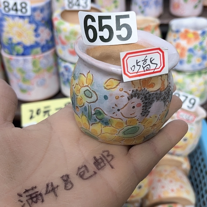 红陶满48包邮多肉花盆