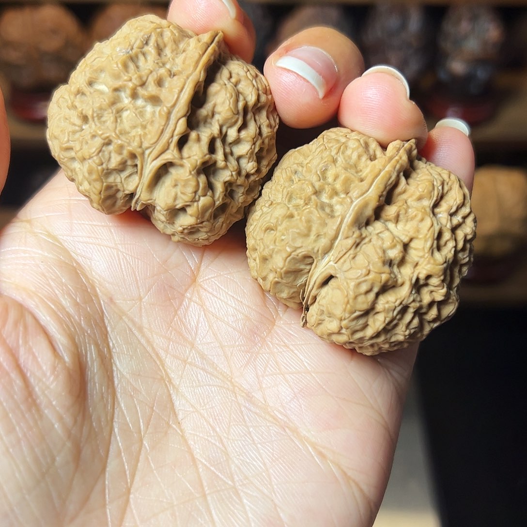 无名神核                  39