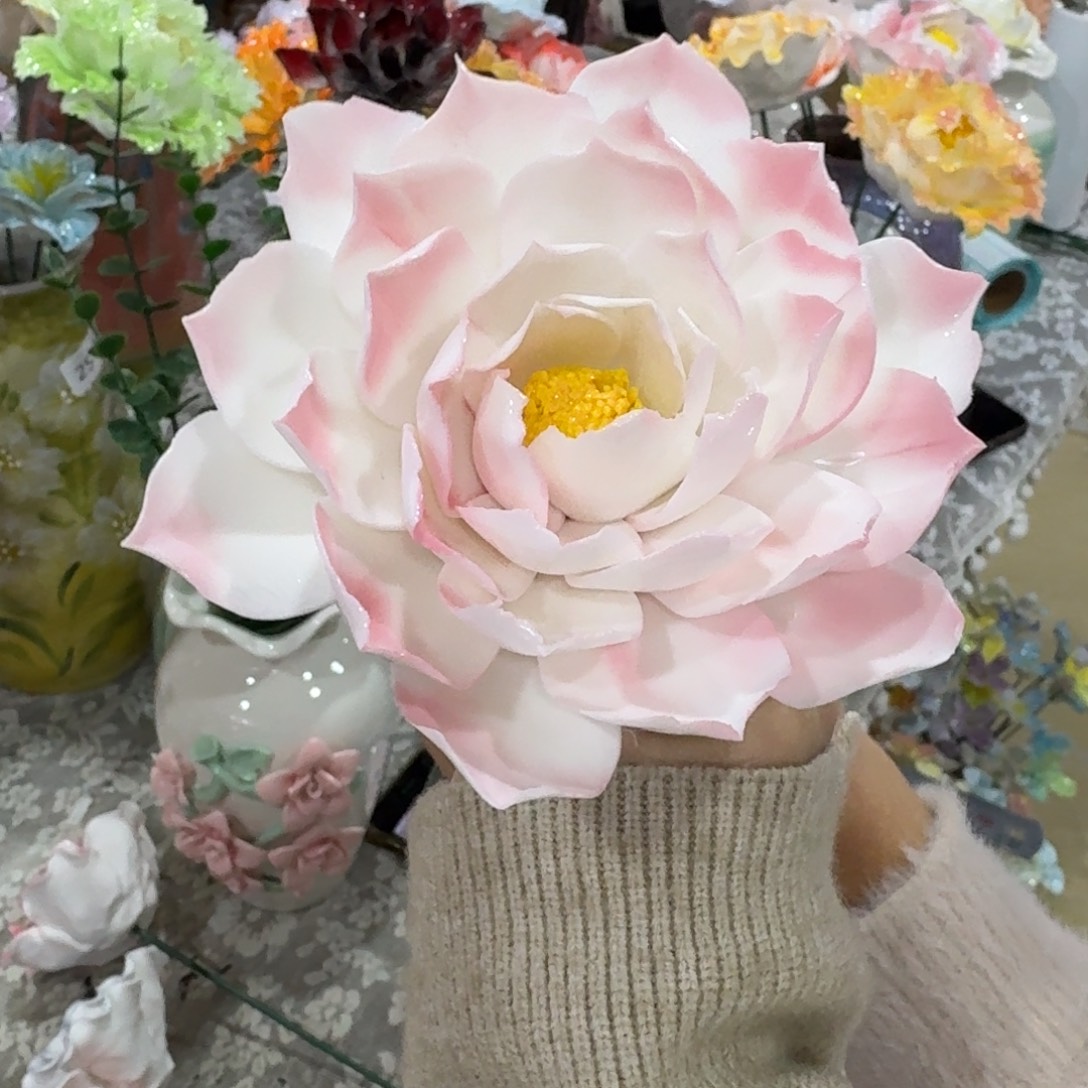 陶瓷花拍满20元发货退款拉黑