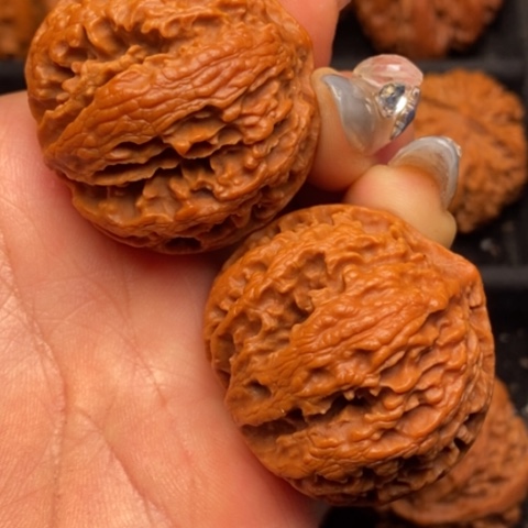 文玩核桃吊坠秦岭山脉核桃