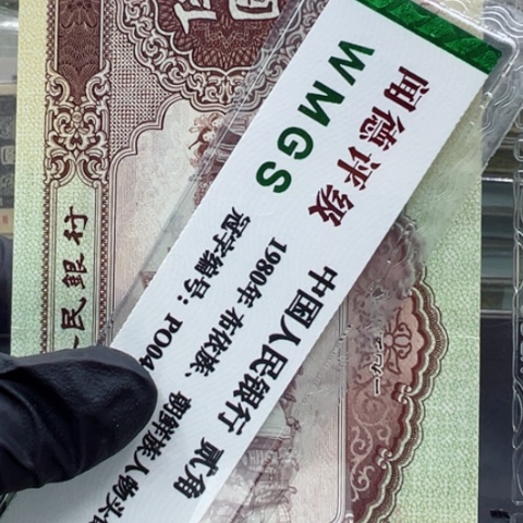 塑料第二套人民币黄五元