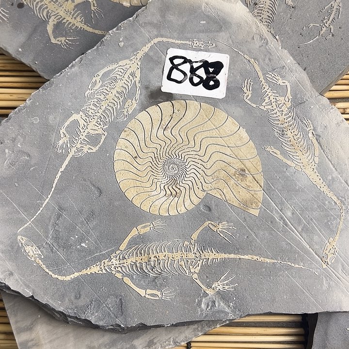 泥塑贵州沉积岩石头