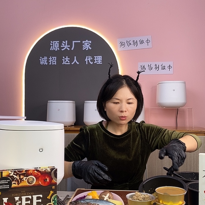 儿***园宠物鲜粮机宠物电饭煲