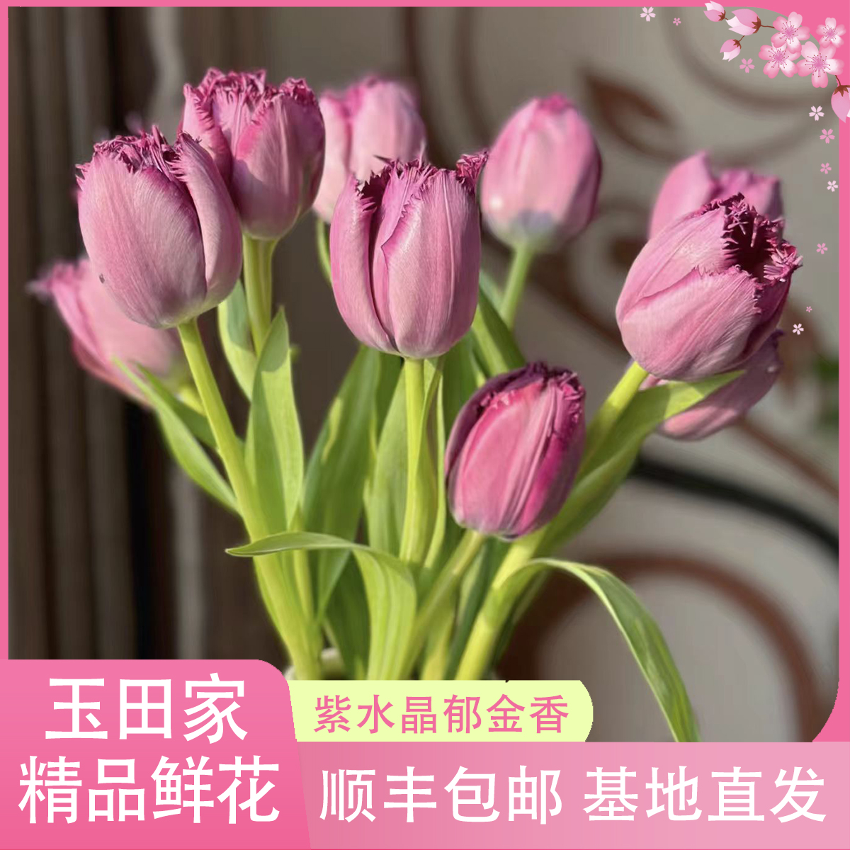 紫水晶郁金香［荷兰进口包对版］《居家办公优选》