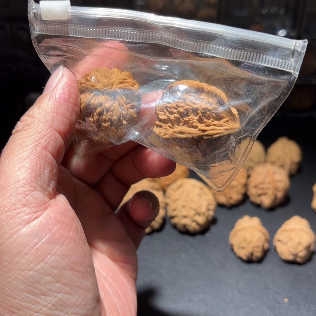 有*33天使之翼南疆石