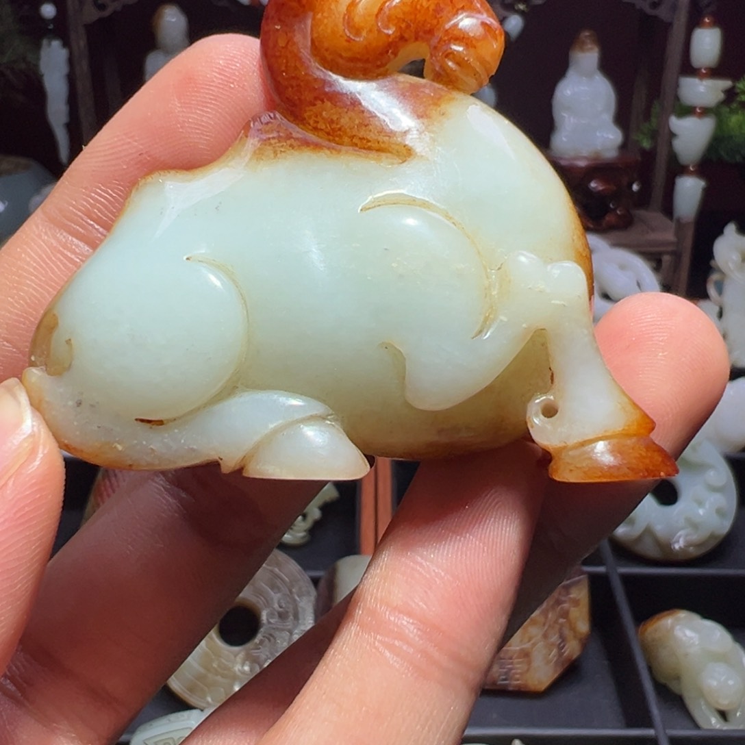 缸一物一图 所见所得