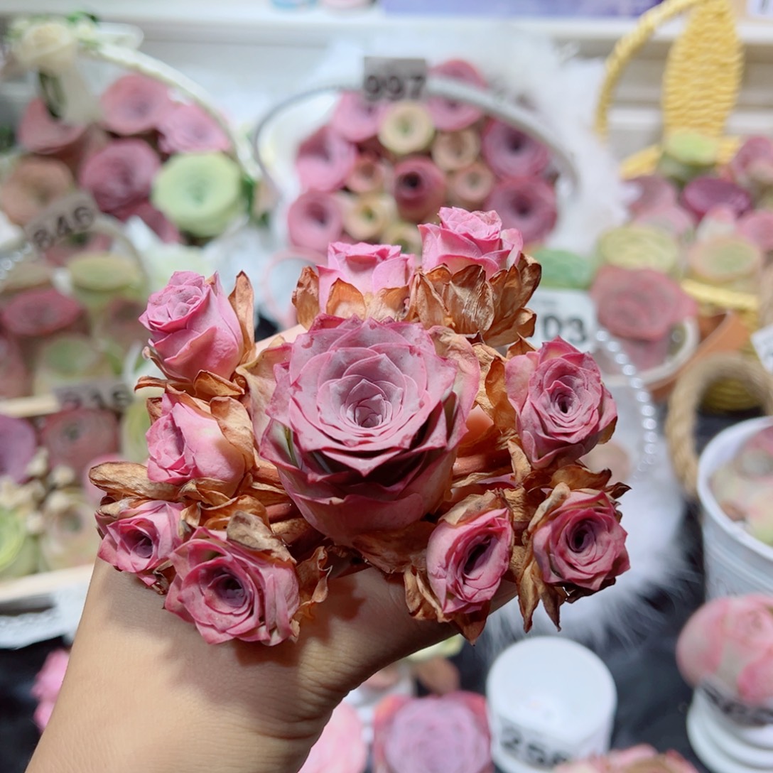 258紫玉飘枝群。     