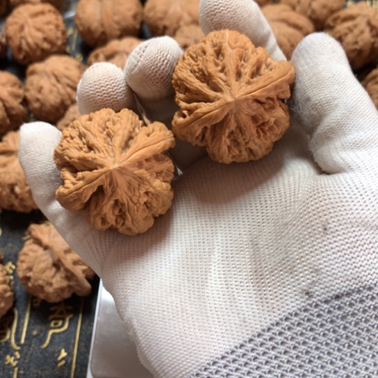 爱**竹大粗筋 大粗筋 大粗筋