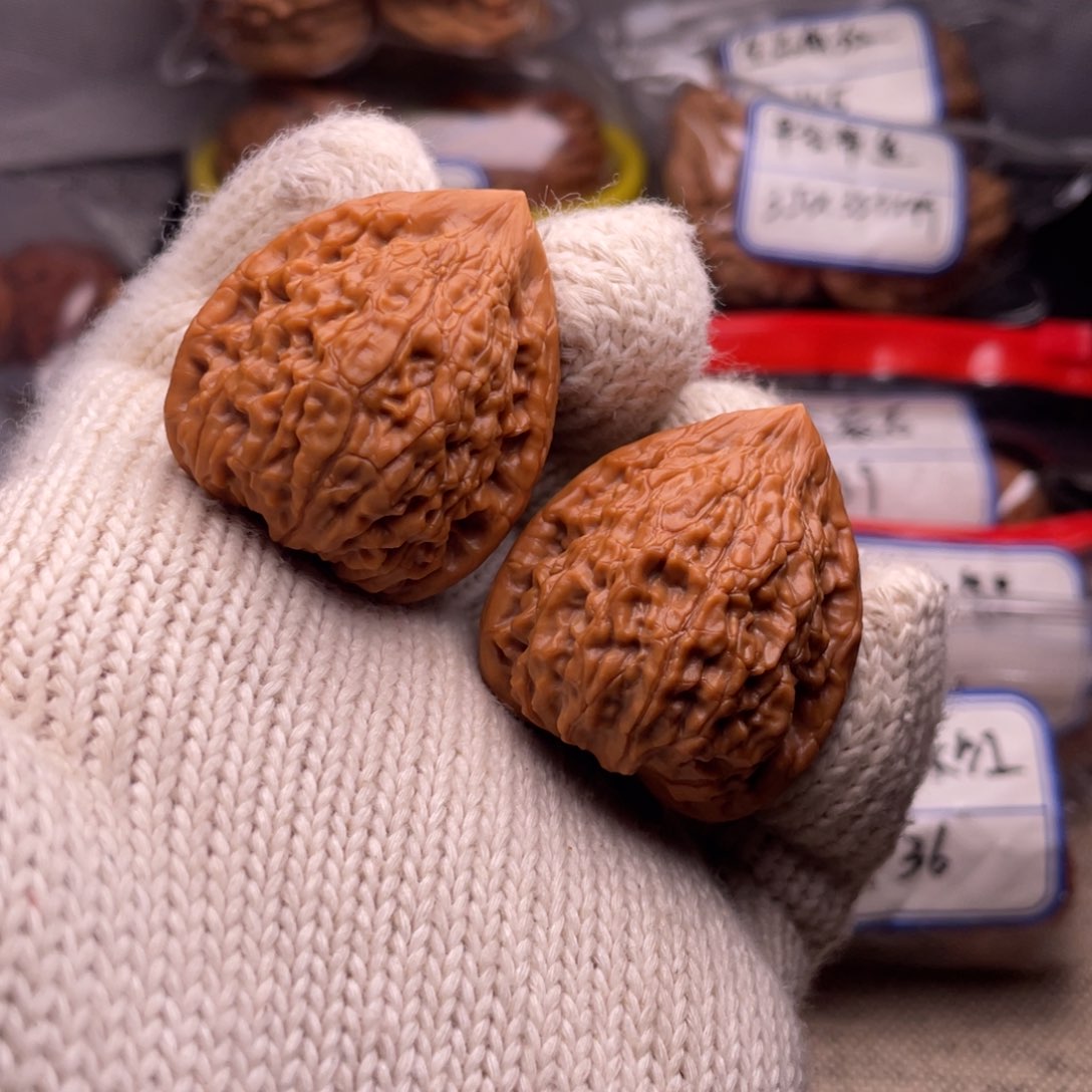 苏*34.5蛇王！！！！！！！！！