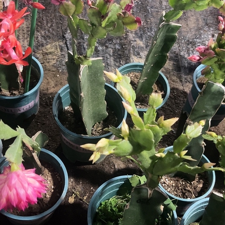 乐***利74号037，00000000000