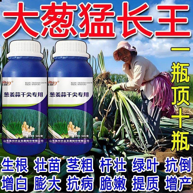 大葱叶面肥防黄叶干尖增白拉长增粗抗病增产素香葱大葱万斤王肥料