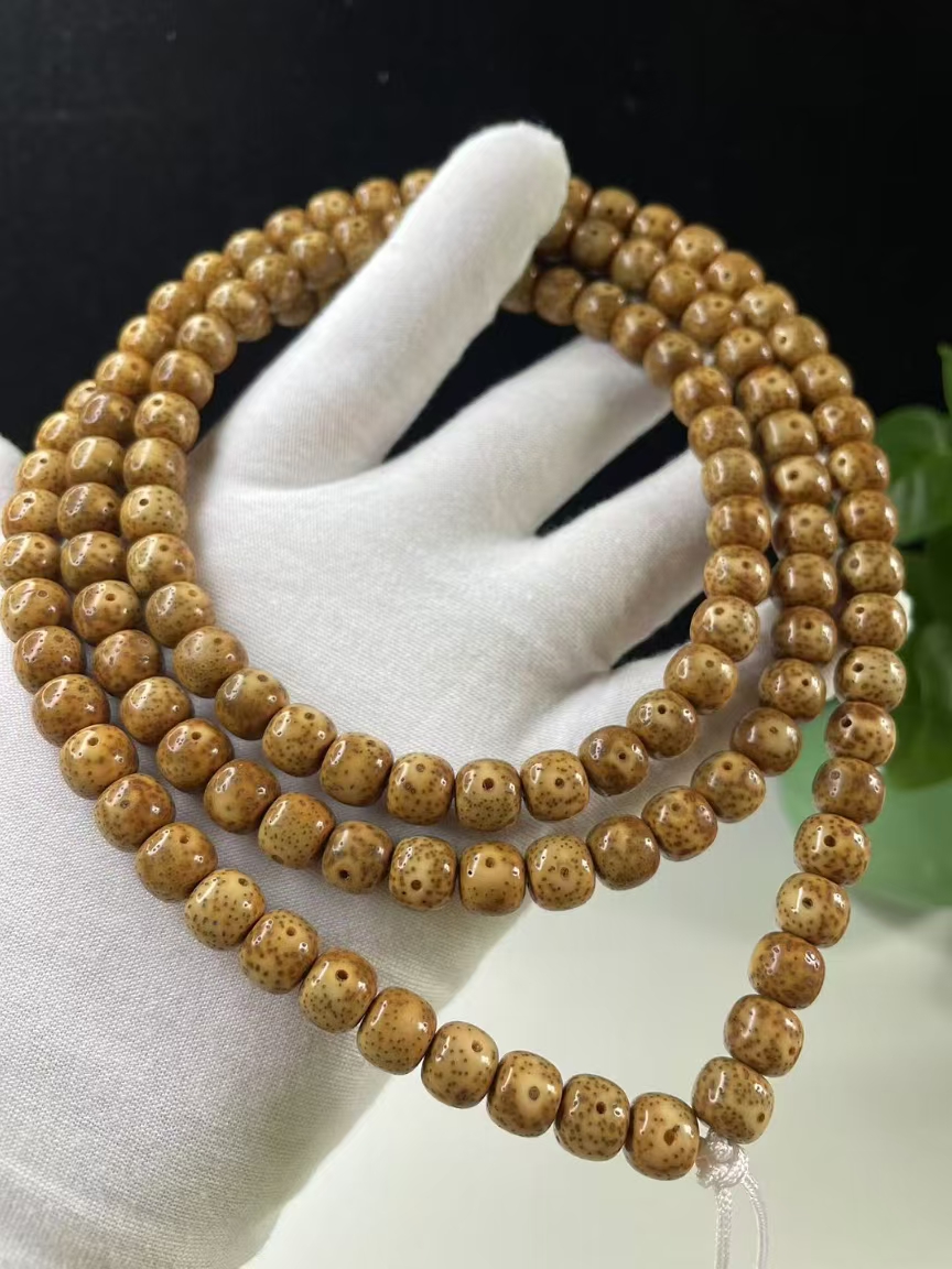 海南星月菩提9/8陈籽虎皮