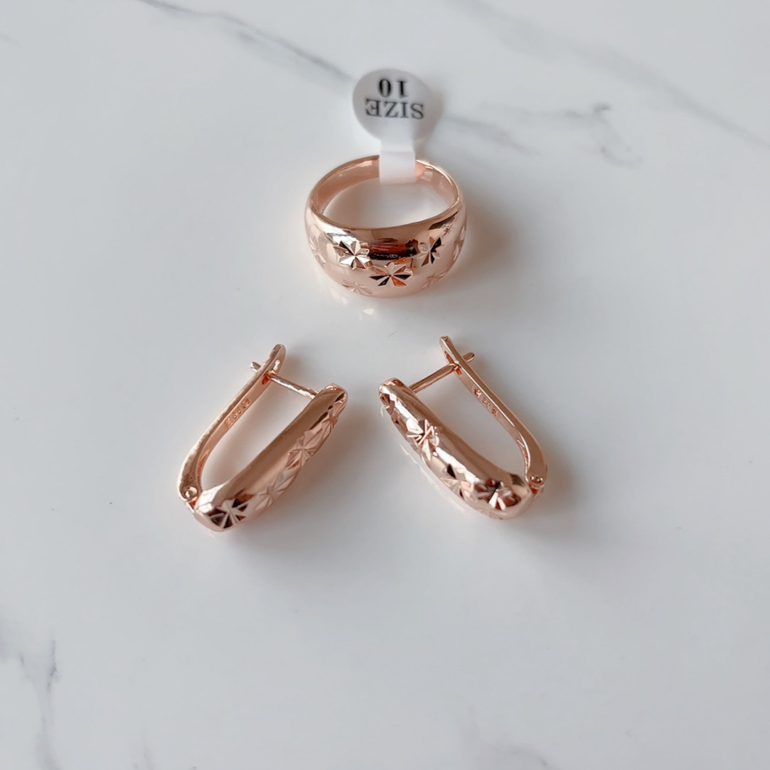 铜合金耳饰 0121 满天星玫瑰金色耳环两件套