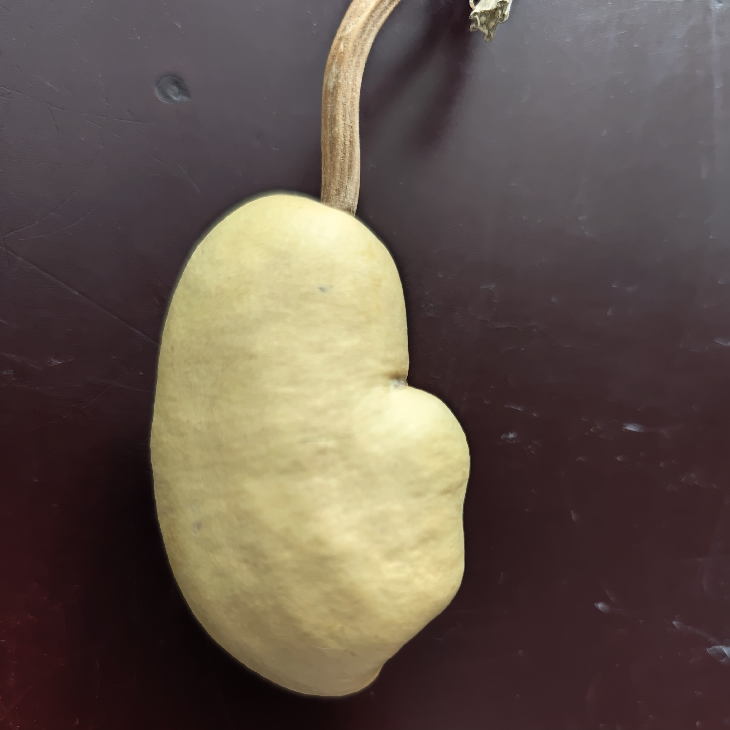 20 精品土豆文玩葫芦手把件