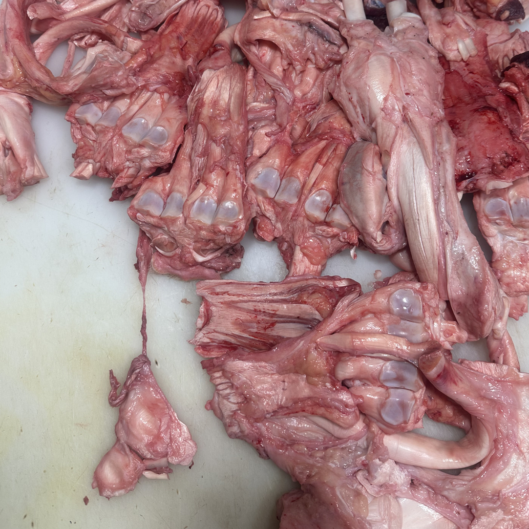 新疆黄牛 【牛蹄筋四斤】起拍【顺丰包邮】