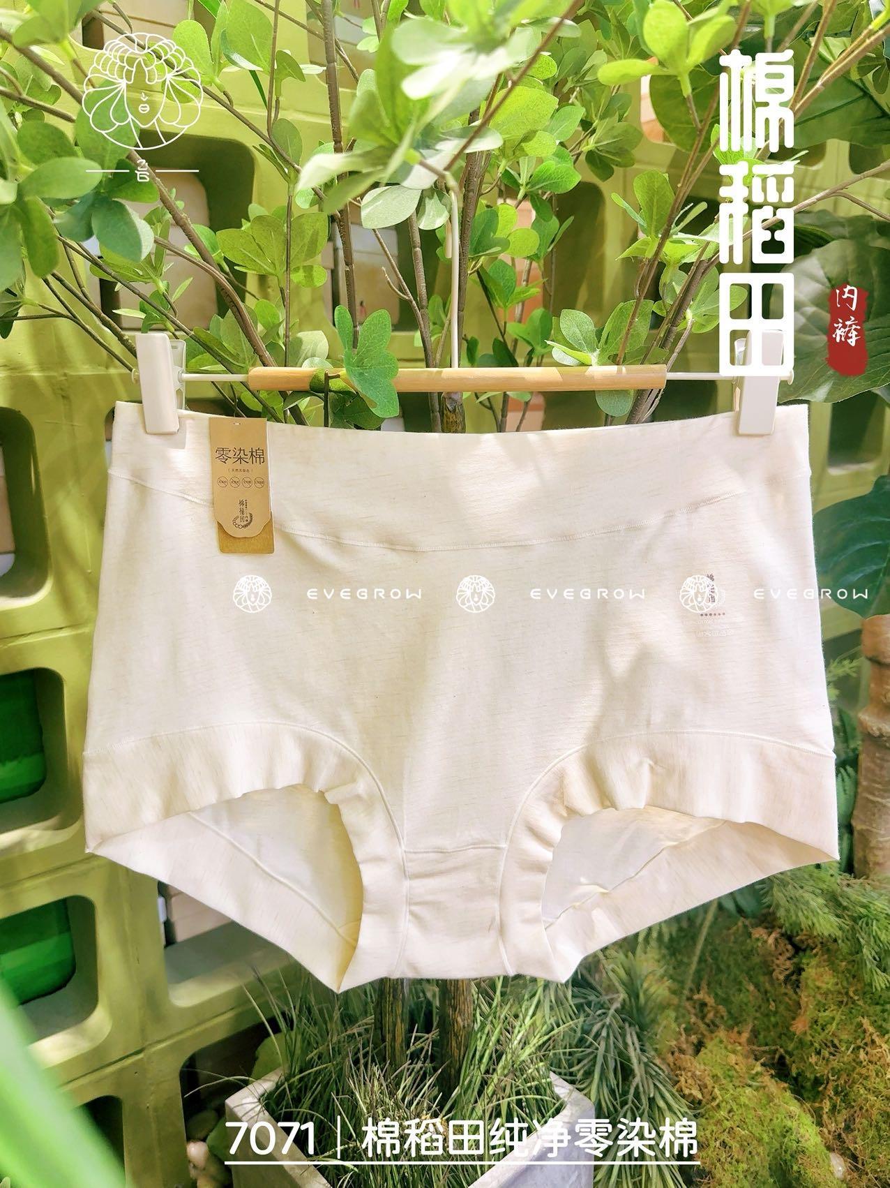 7071 舒适百搭好穿短裤（妈妈款）