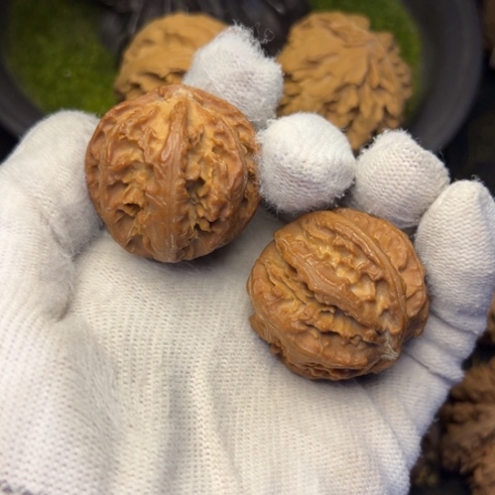 文玩核桃吊坠秦岭核桃22