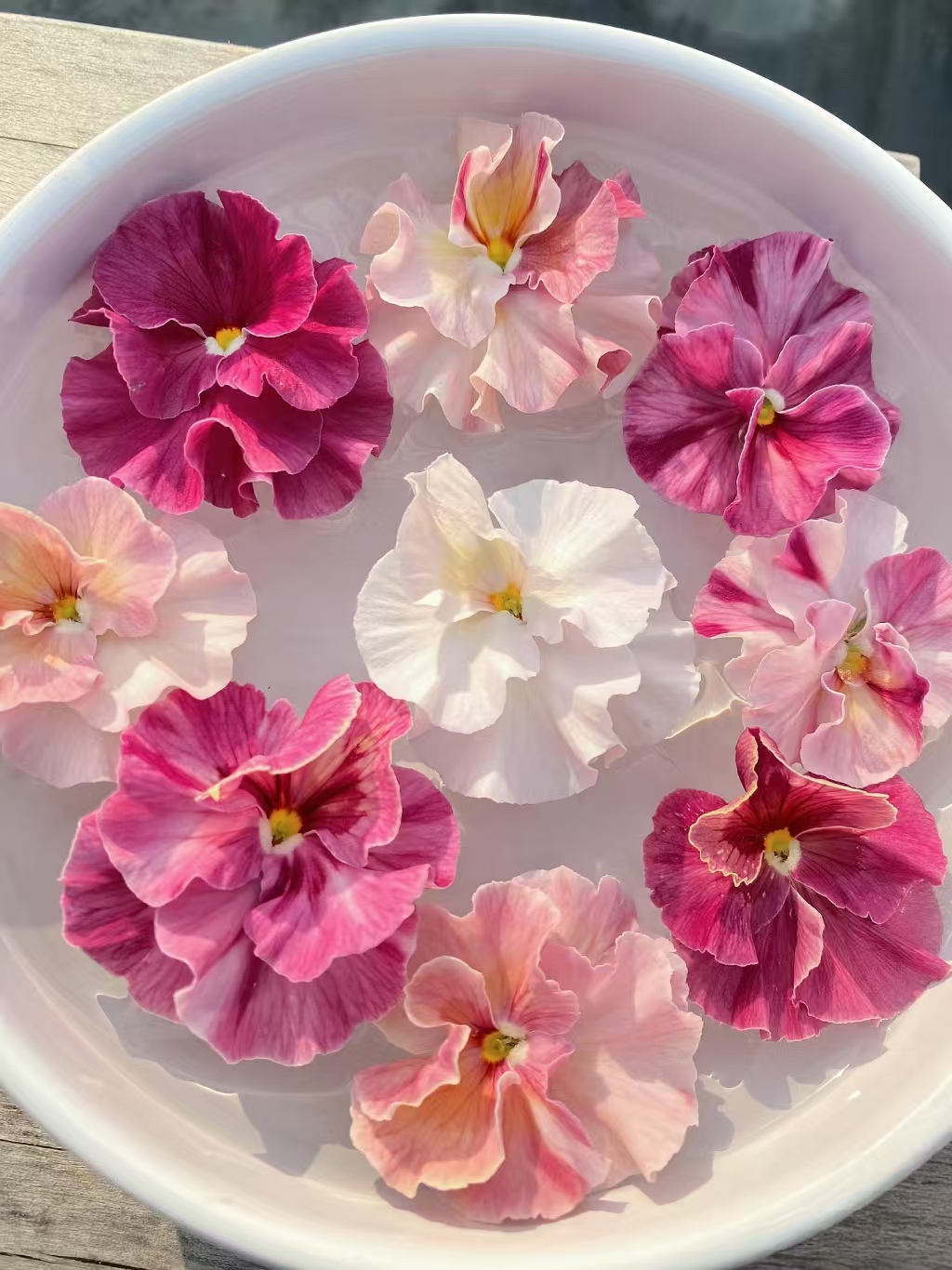 一物一拍 皱边角堇洛可可礼服德古拉编号礼服 