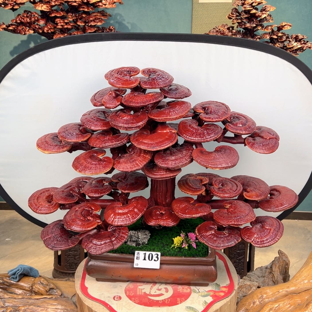 东***司无花朵868888888888