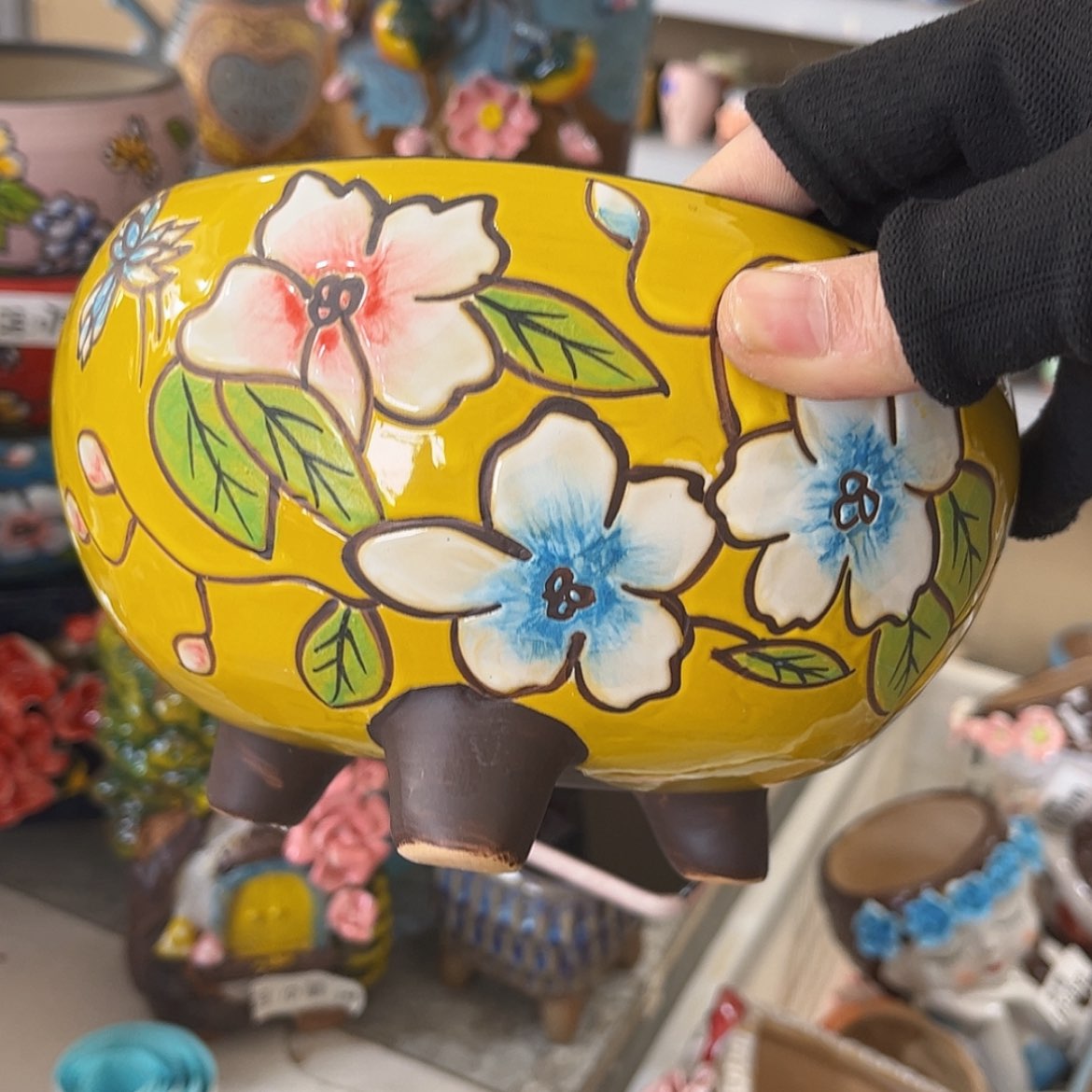 【闪购商品】红陶福利