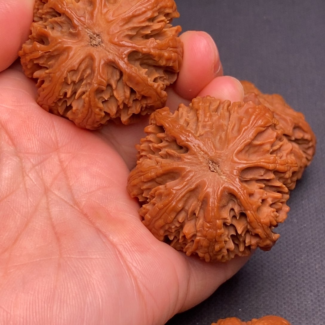 文玩核桃把件秦岭野生核桃