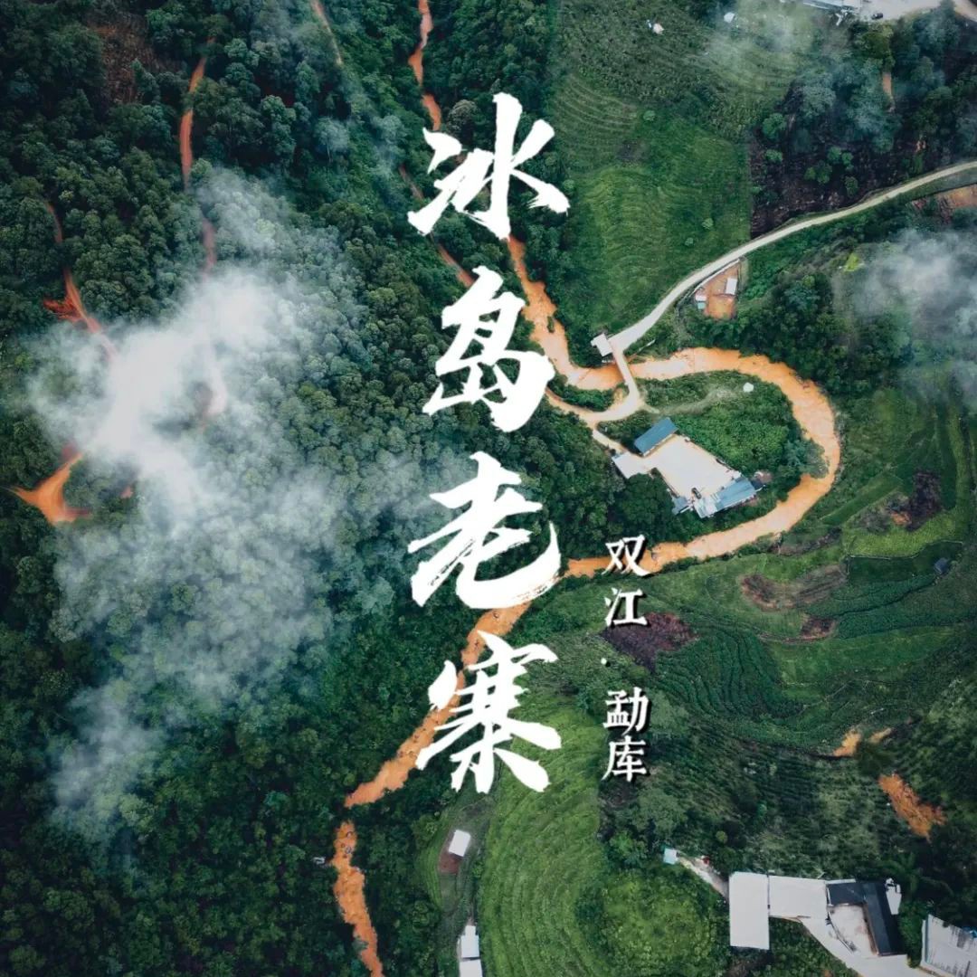 2024年春真冰岛老寨中小树普洱生茶散茶50克