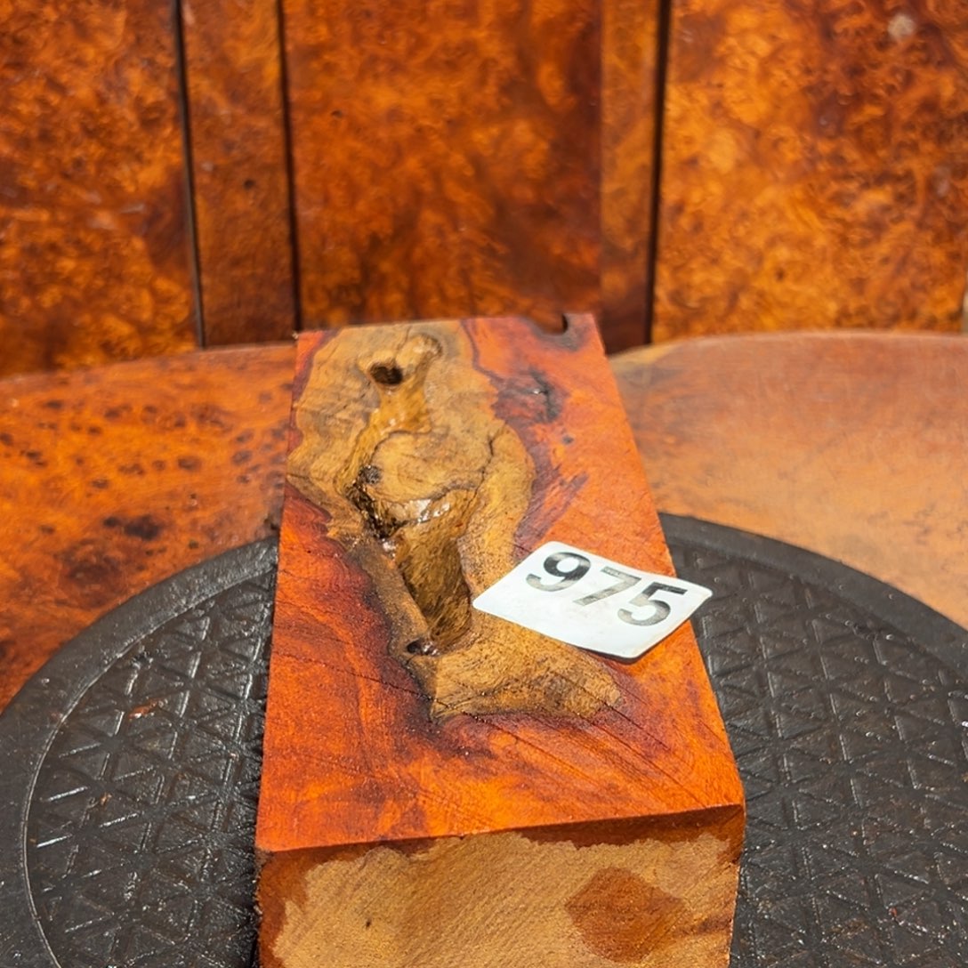 细***君大果紫檀（缅甸花梨）