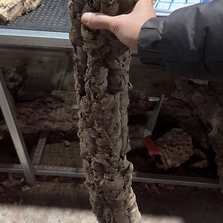 大***.无花朵一物一拍一物一发