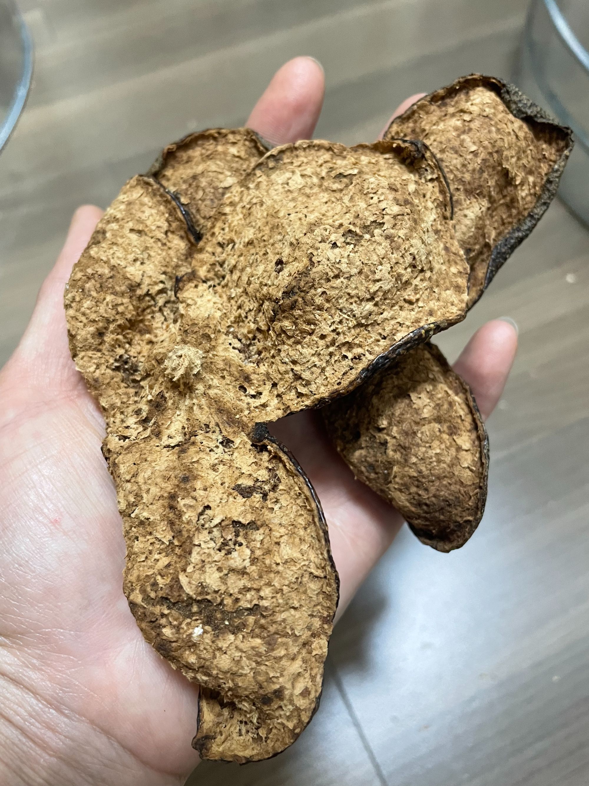 [高香高甜】 2009年东甲圈枝冬后正宗新会陈皮