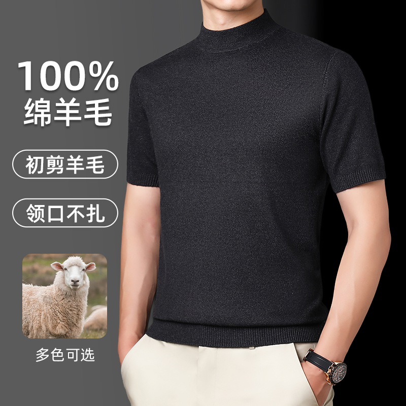 高档100%纯羊毛衫男士短袖半高领加厚保暖半袖针织打底衫男装T恤