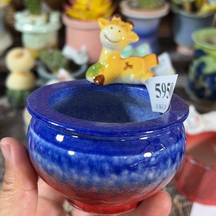 口6 未满30运费到付