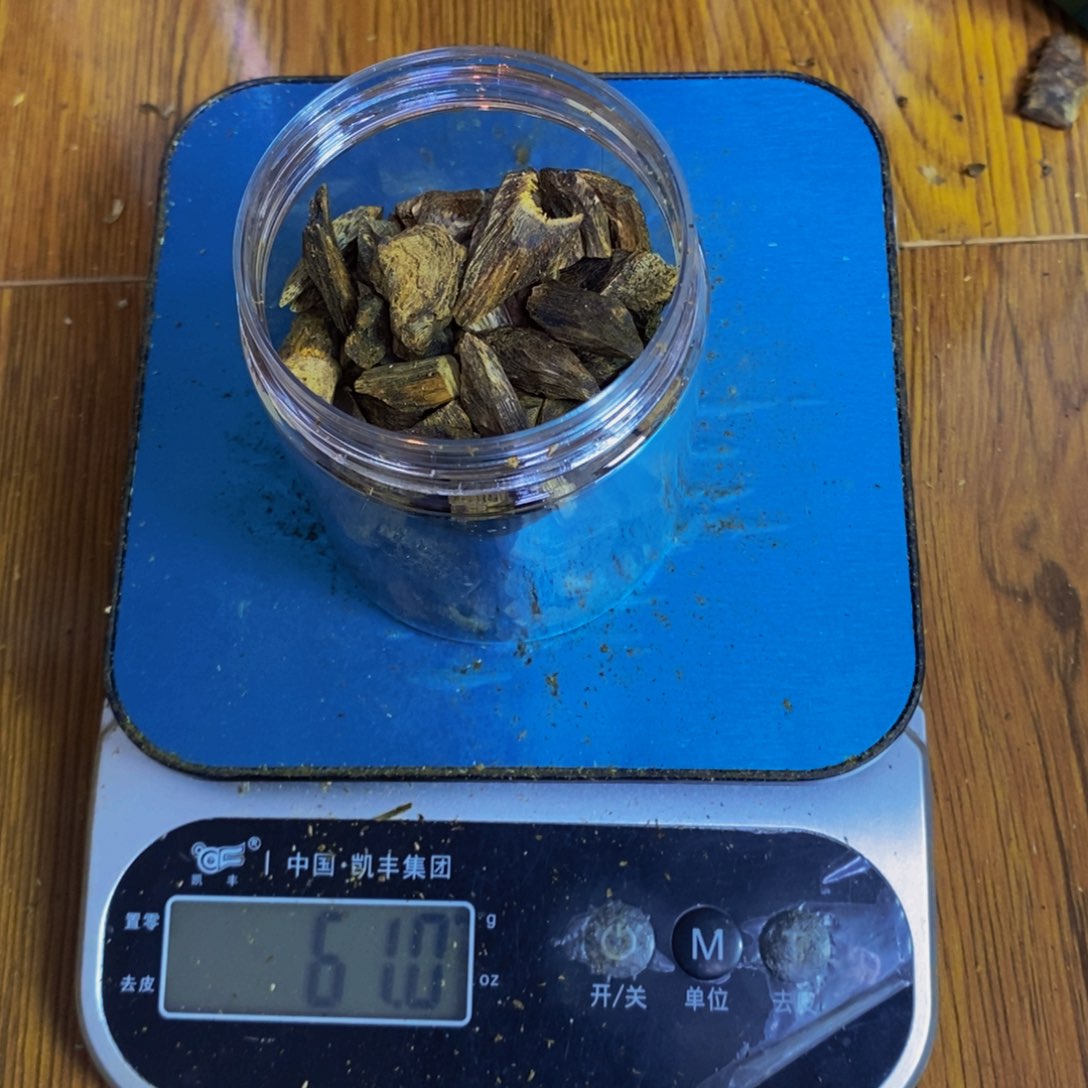 可***蓝沉香碎屑沉香棋楠透顶绿树钉60克