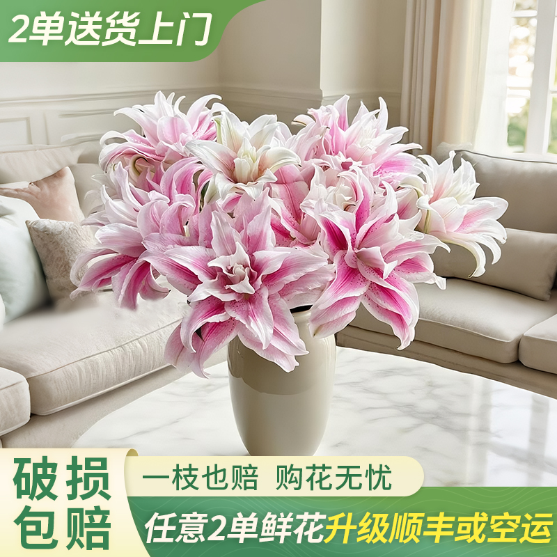 【柔柔甄选】伊莎贝拉重瓣百合云南直发鲜花家居水养鲜花花束客厅