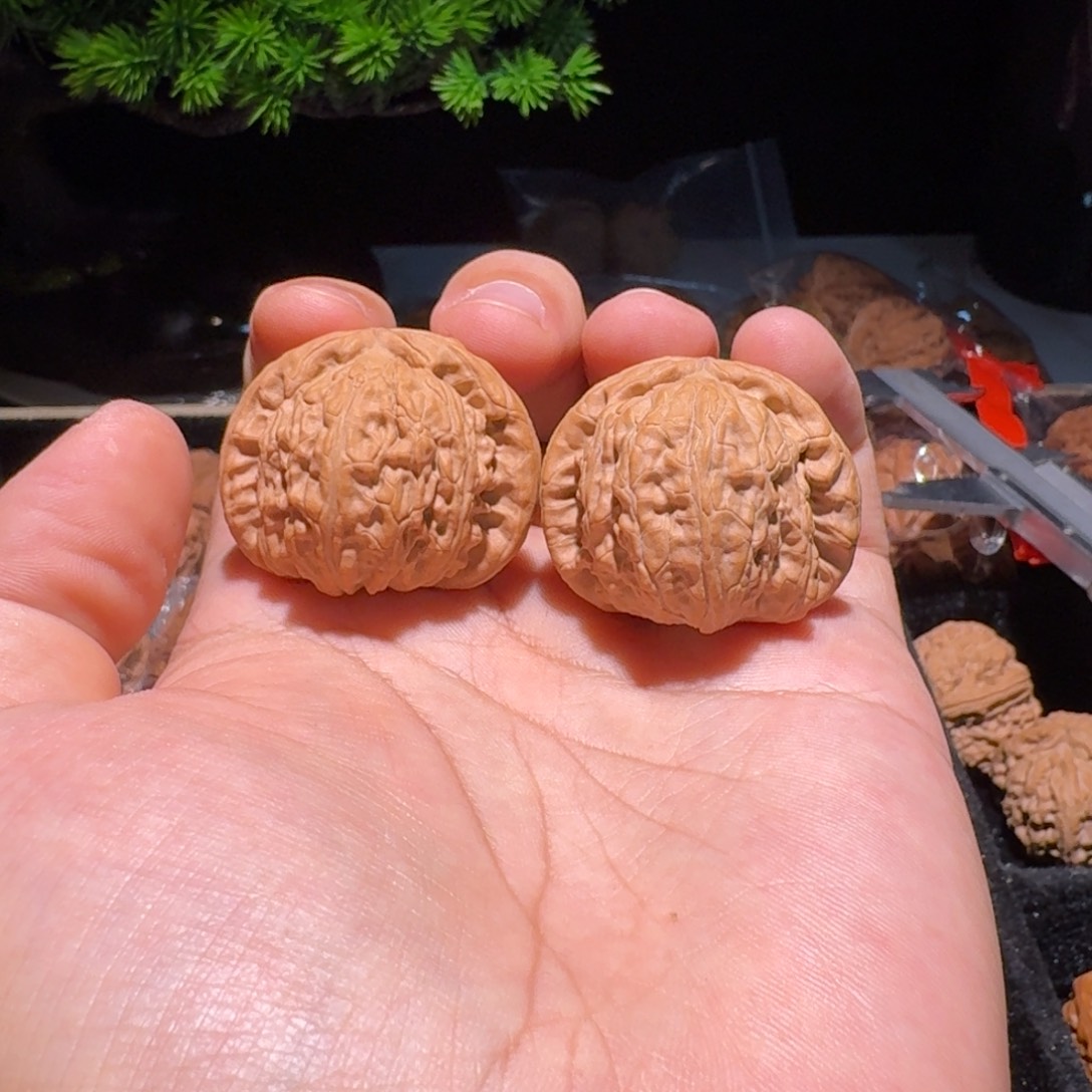 文玩核桃吊坠白狮子