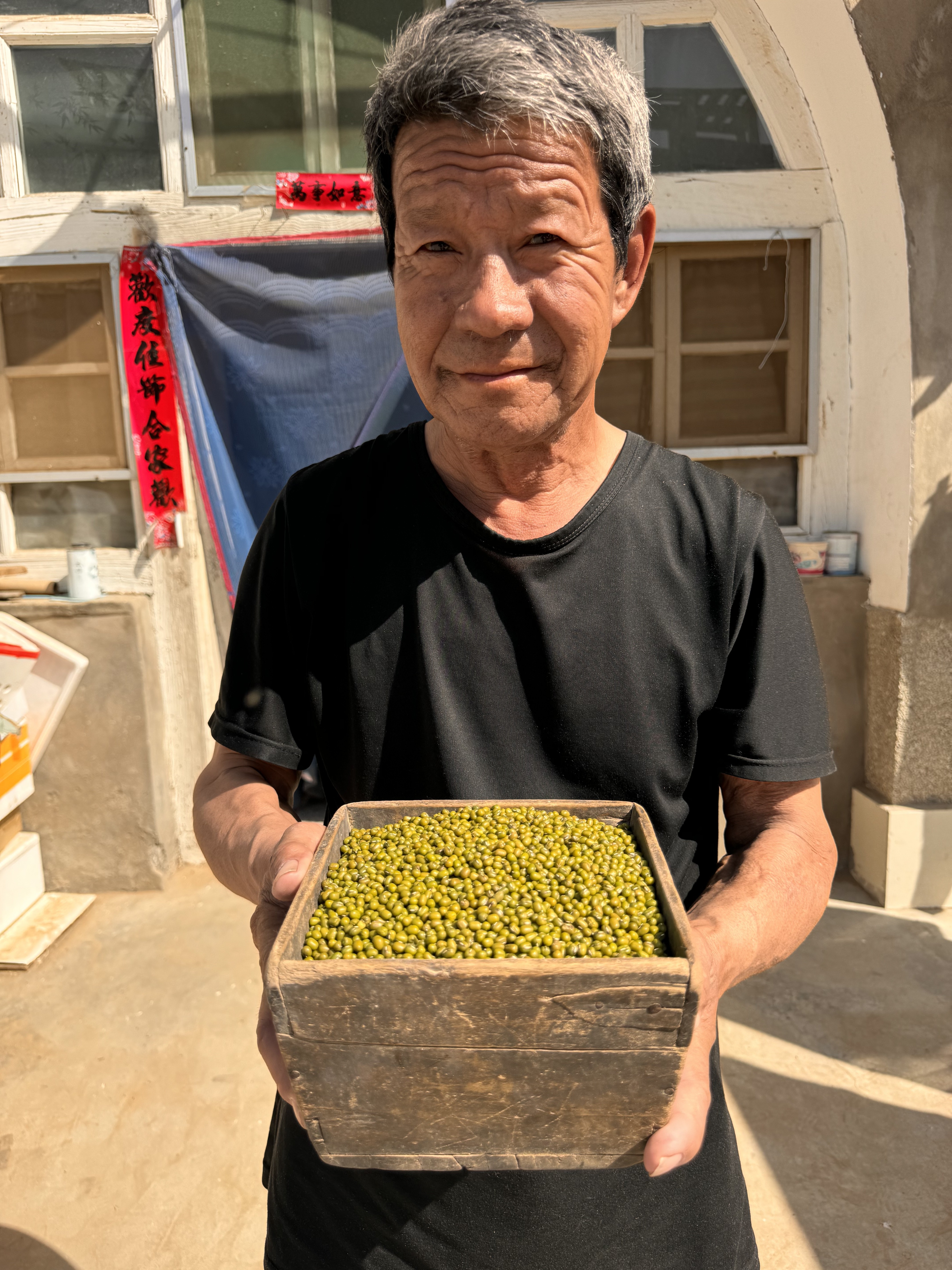 陕北农家薄皮绿豆颗粒饱满肉多五谷杂粮粗粮夏季食用